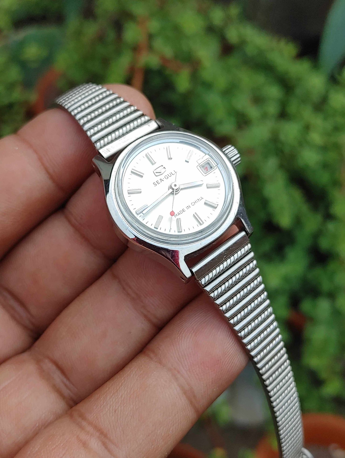 Sea Gull Automatic Watch Hand Winding for Women