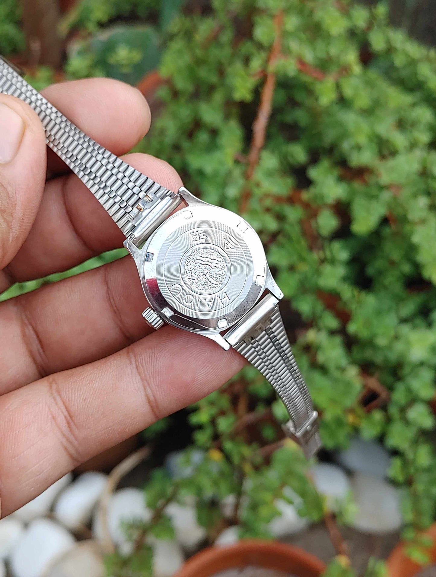 Sea Gull Automatic Watch Hand Winding for Women