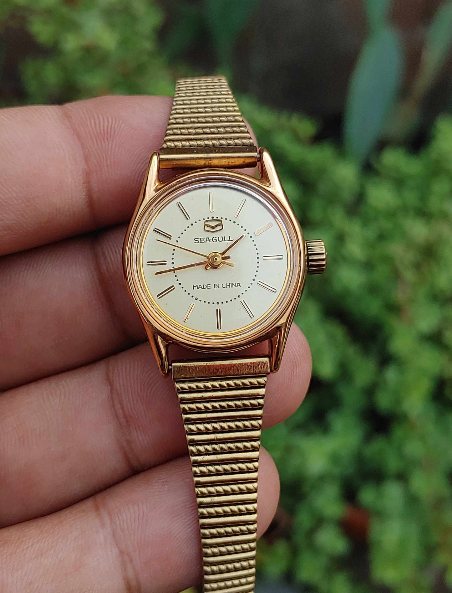 Sea Gull Hand Winding Automatic For Women