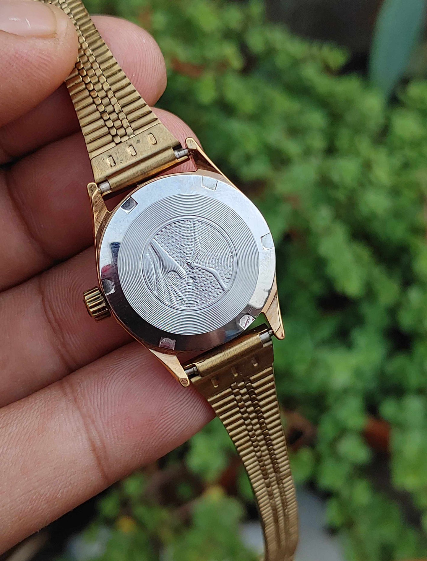 Sea Gull Hand Winding Automatic For Women