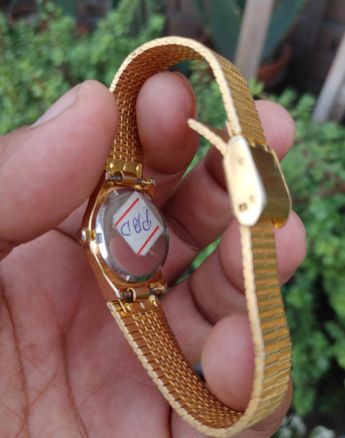 Seastar Vintage Watch For Women