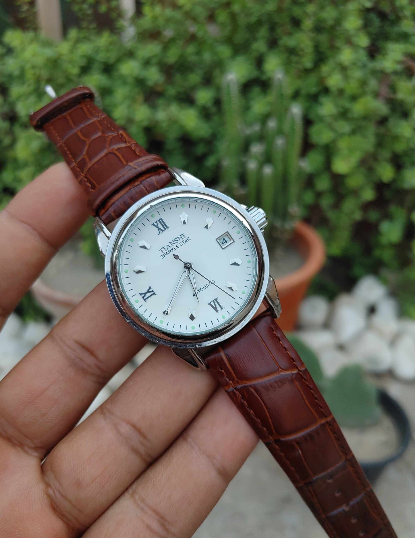Tianshi Automatic Watch For Men