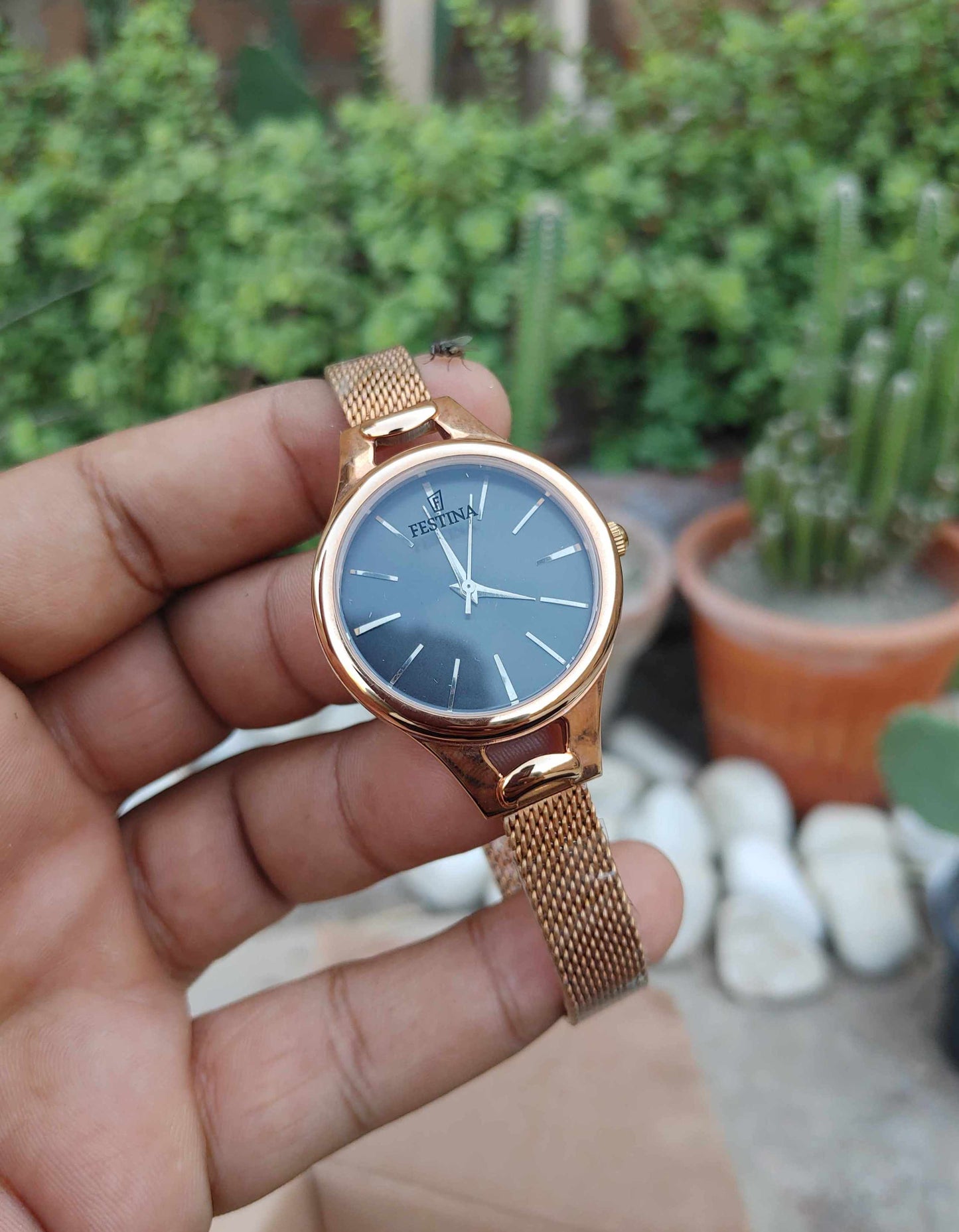 Festina Watch For Women Rose Gold