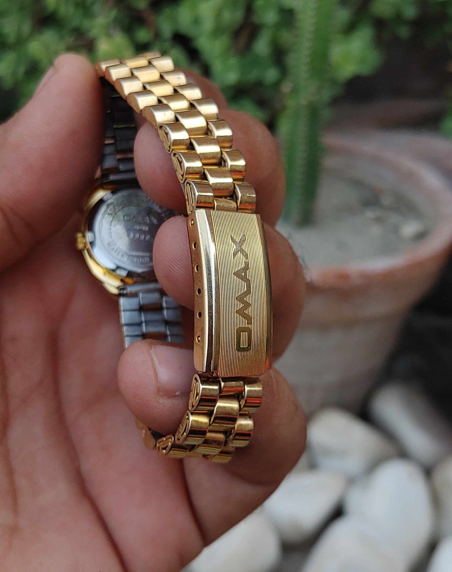 Omax Wrist Watch for Women Diastar Case