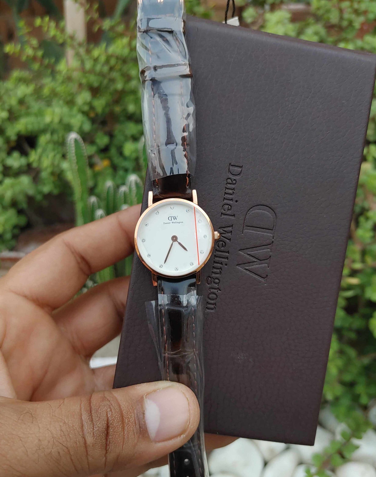 Daniel Wellington Watch For Women