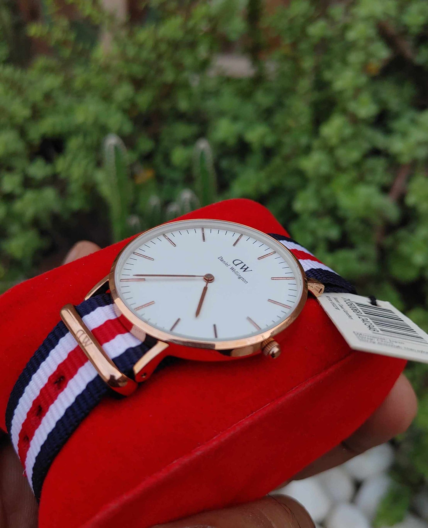 Daniel Wellington Nato Strap Wrist Watch For Men in Classic Style