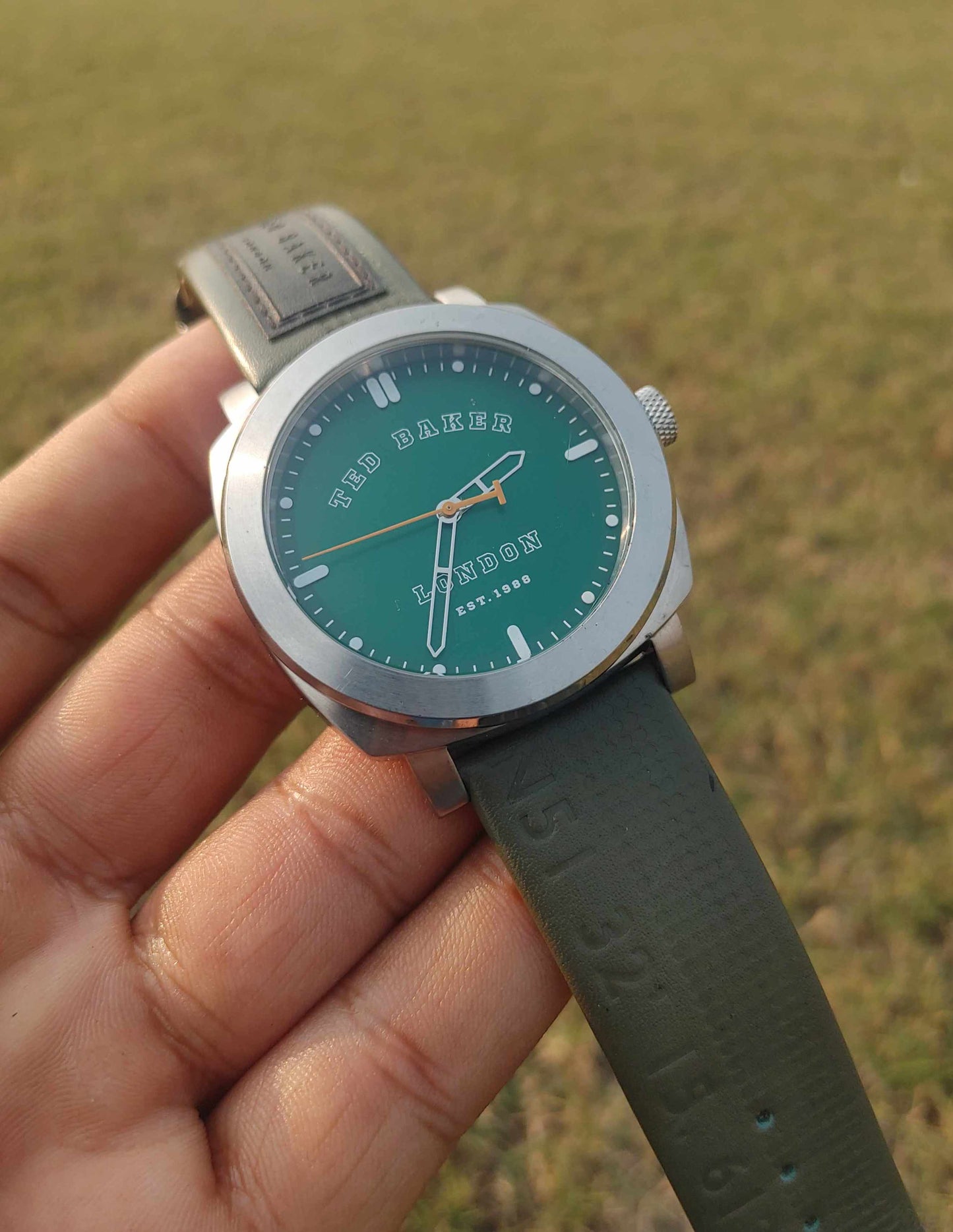 Ted Baker Green Dial 42mm Stainless-steel Leather Strap Watch For Men