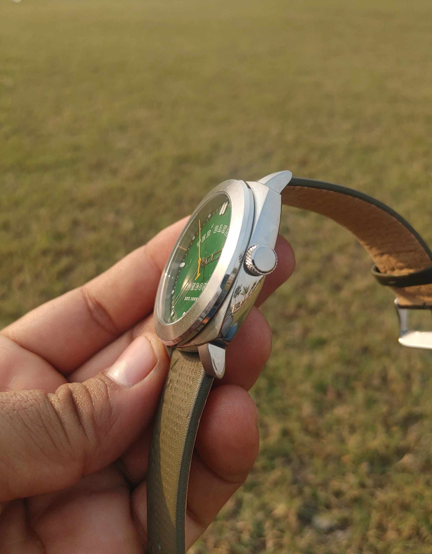 Ted Baker Green Dial 42mm Stainless-steel Leather Strap Watch For Men