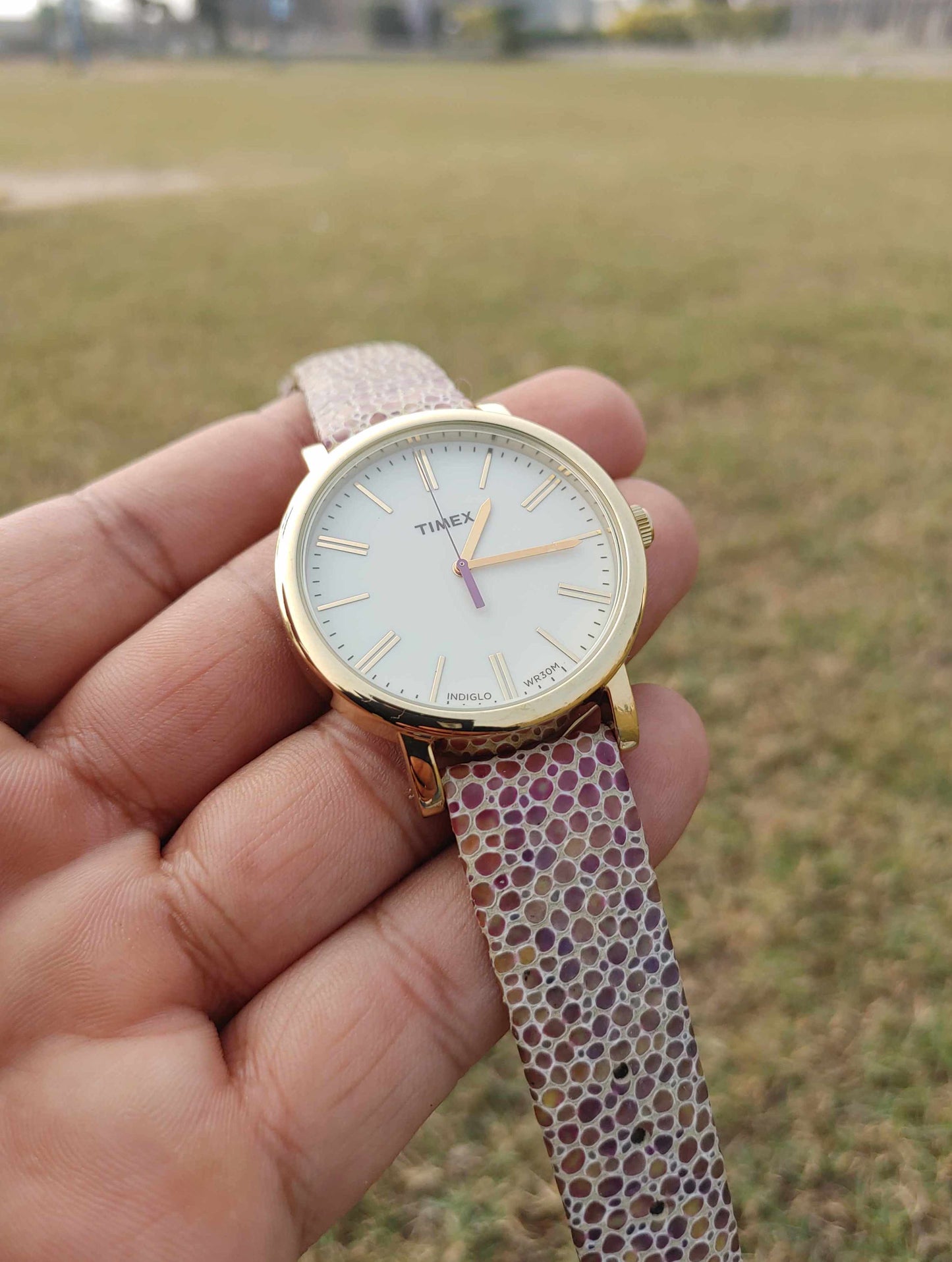 Timex Indglo Wr30m Watch Unisex