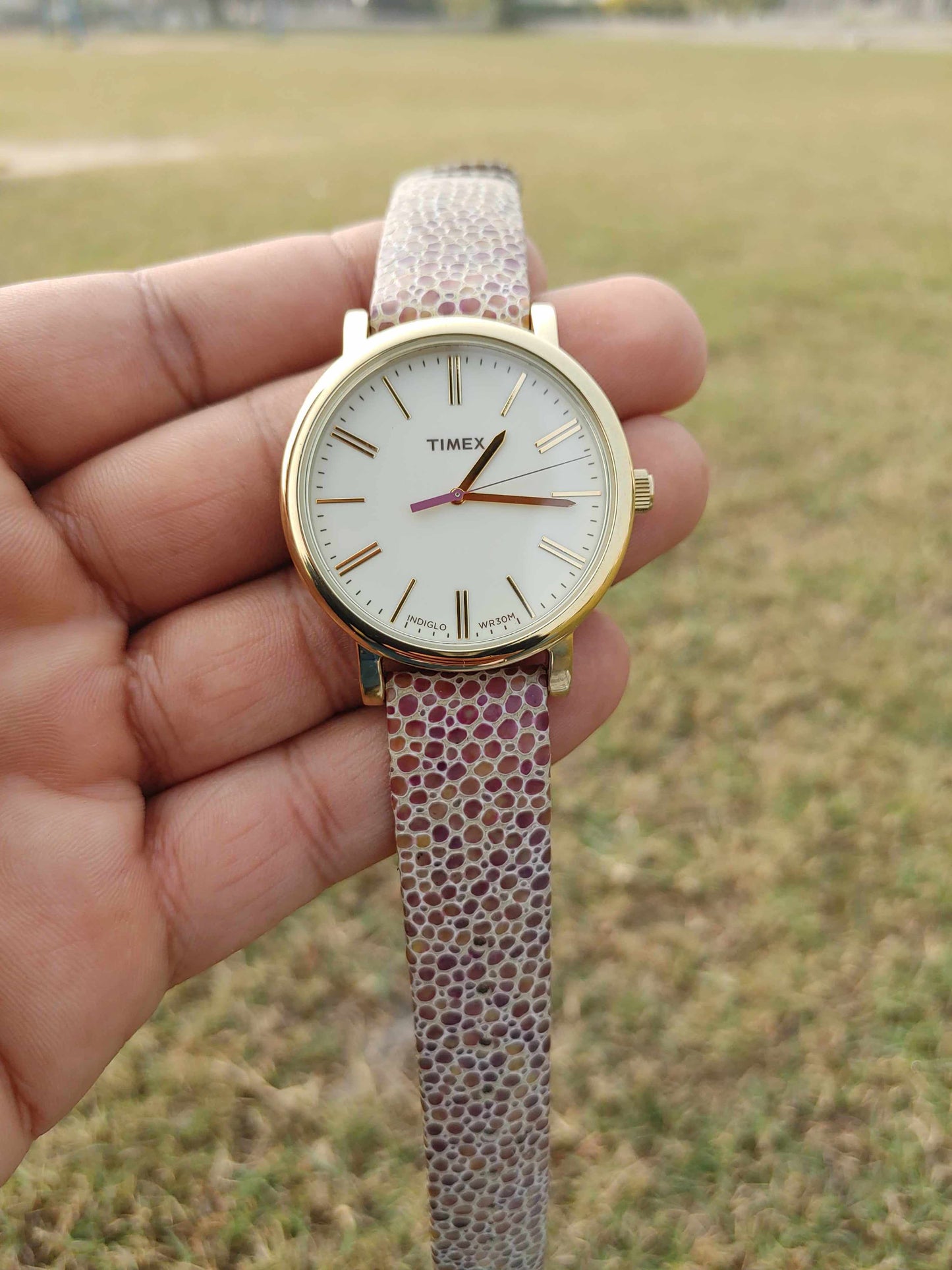 Timex Indglo Wr30m Watch Unisex