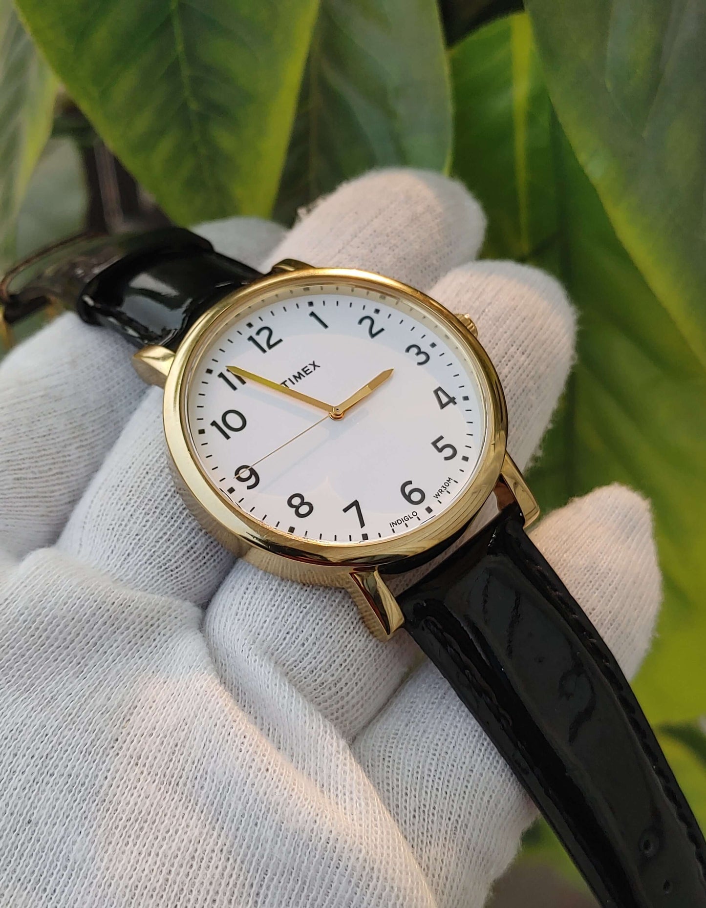 Timex Indiglo Wr30m Cr2016 Watch Number Dial
