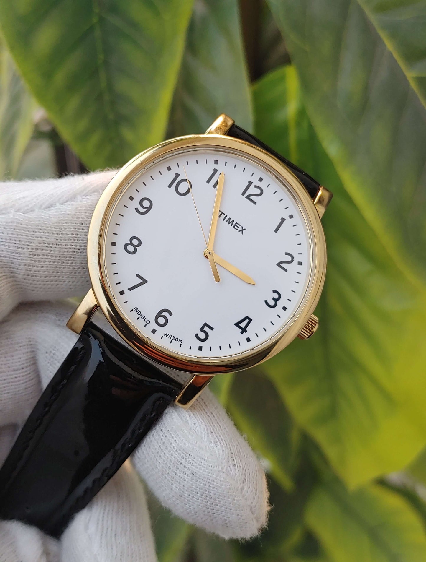 Timex Indiglo Wr30m Cr2016 Watch Number Dial