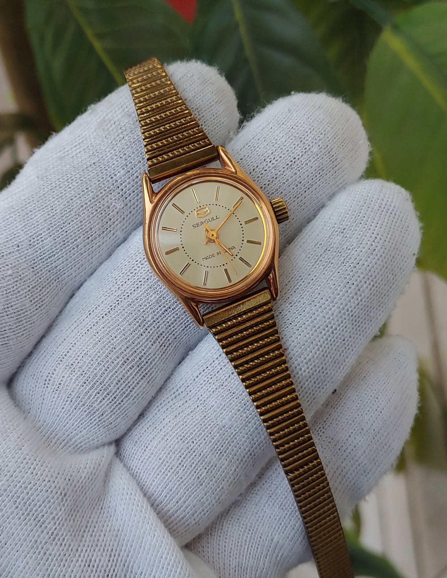 Sea Gull Hand Winding Watch For Women