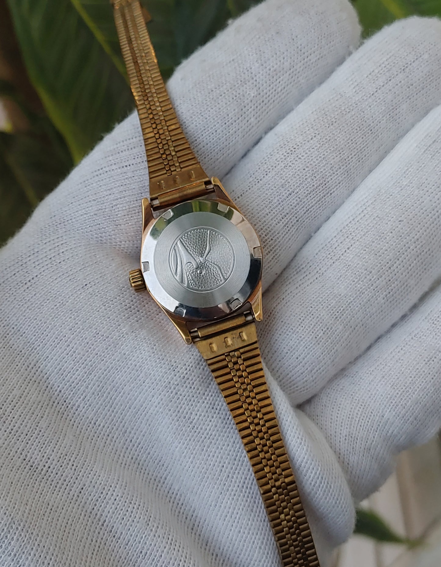 Sea Gull Hand Winding Watch For Women