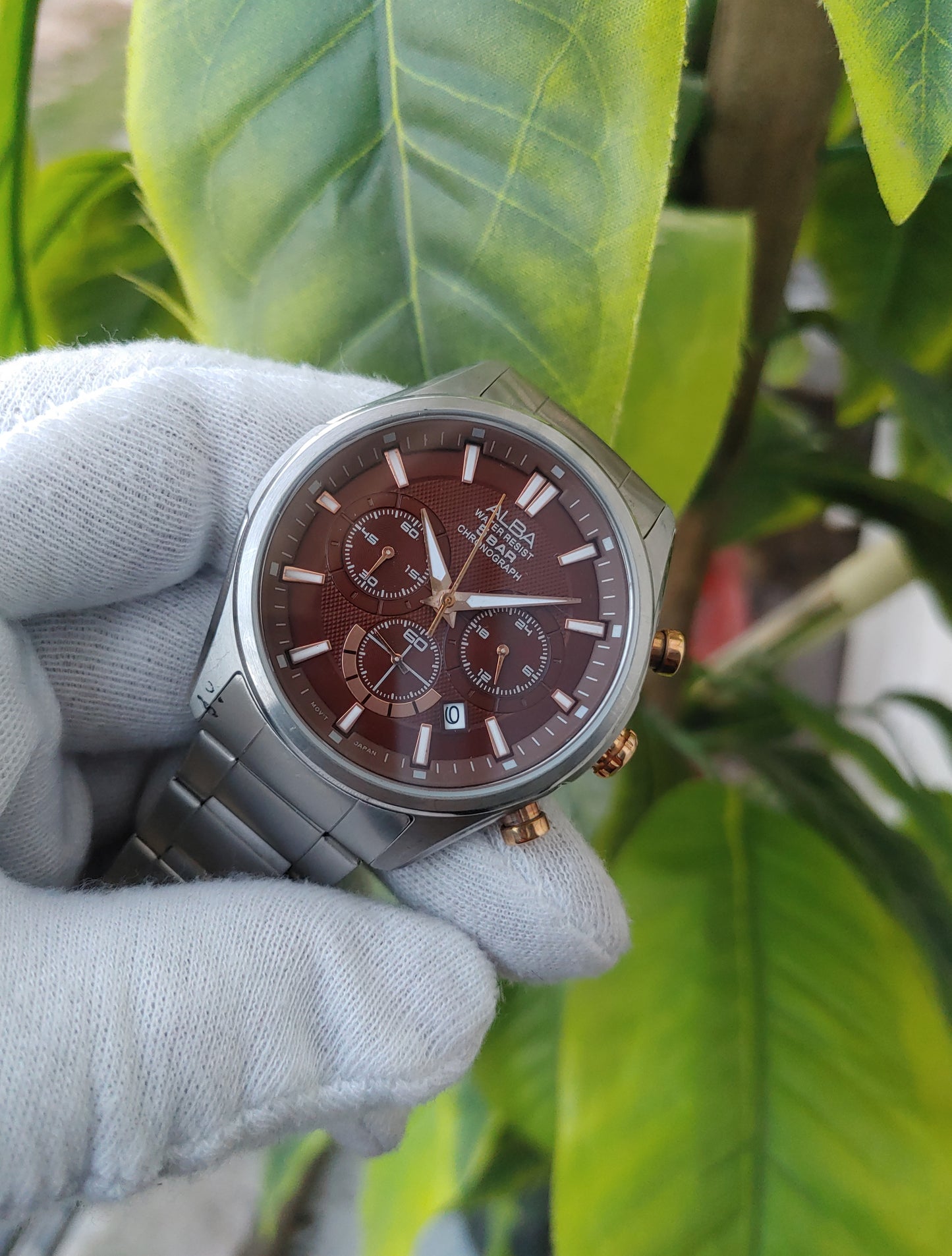 Alba Chornograph Chocolate Dial Watch For Gents