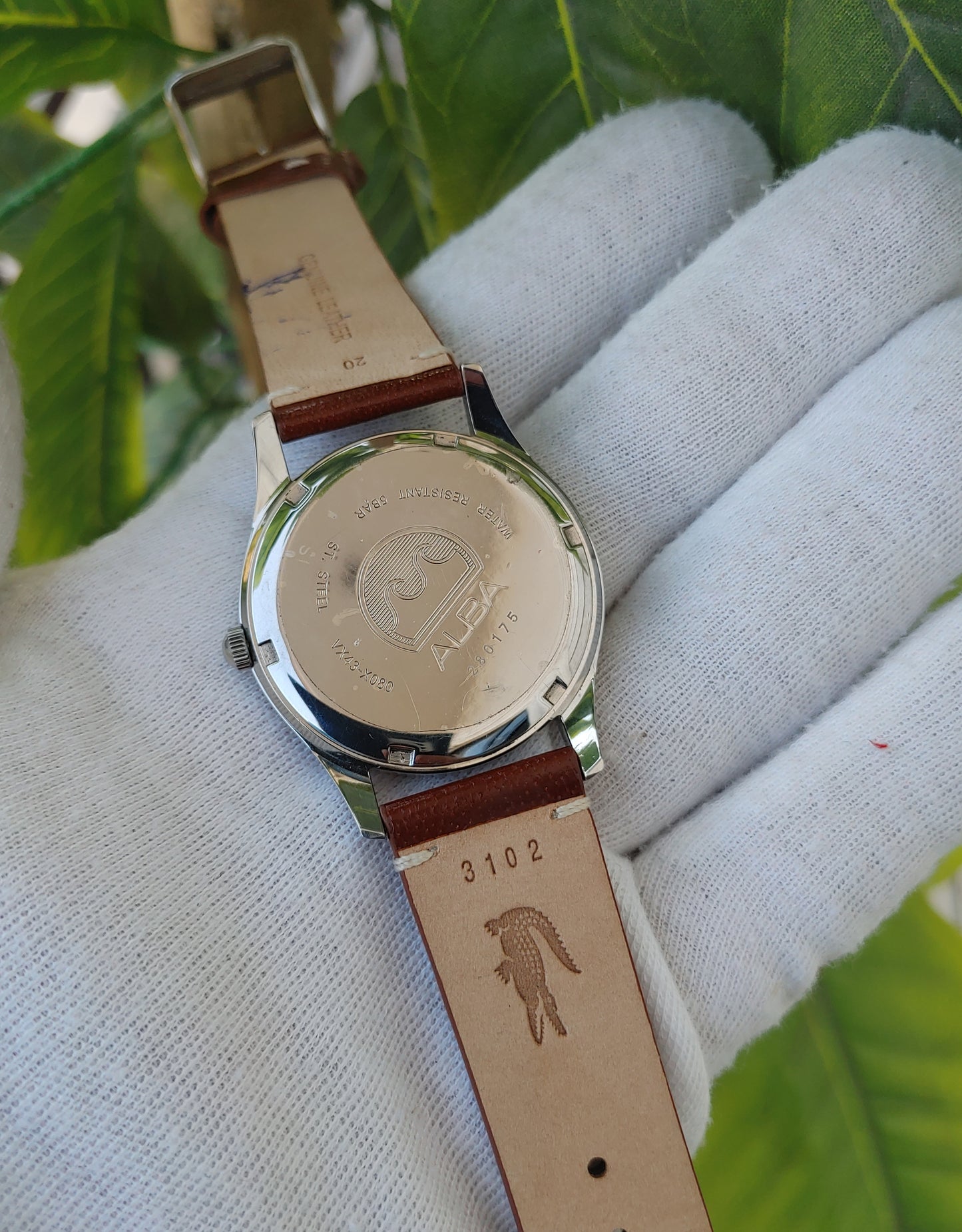 Alba - AXND53X1 - Quartz Watch