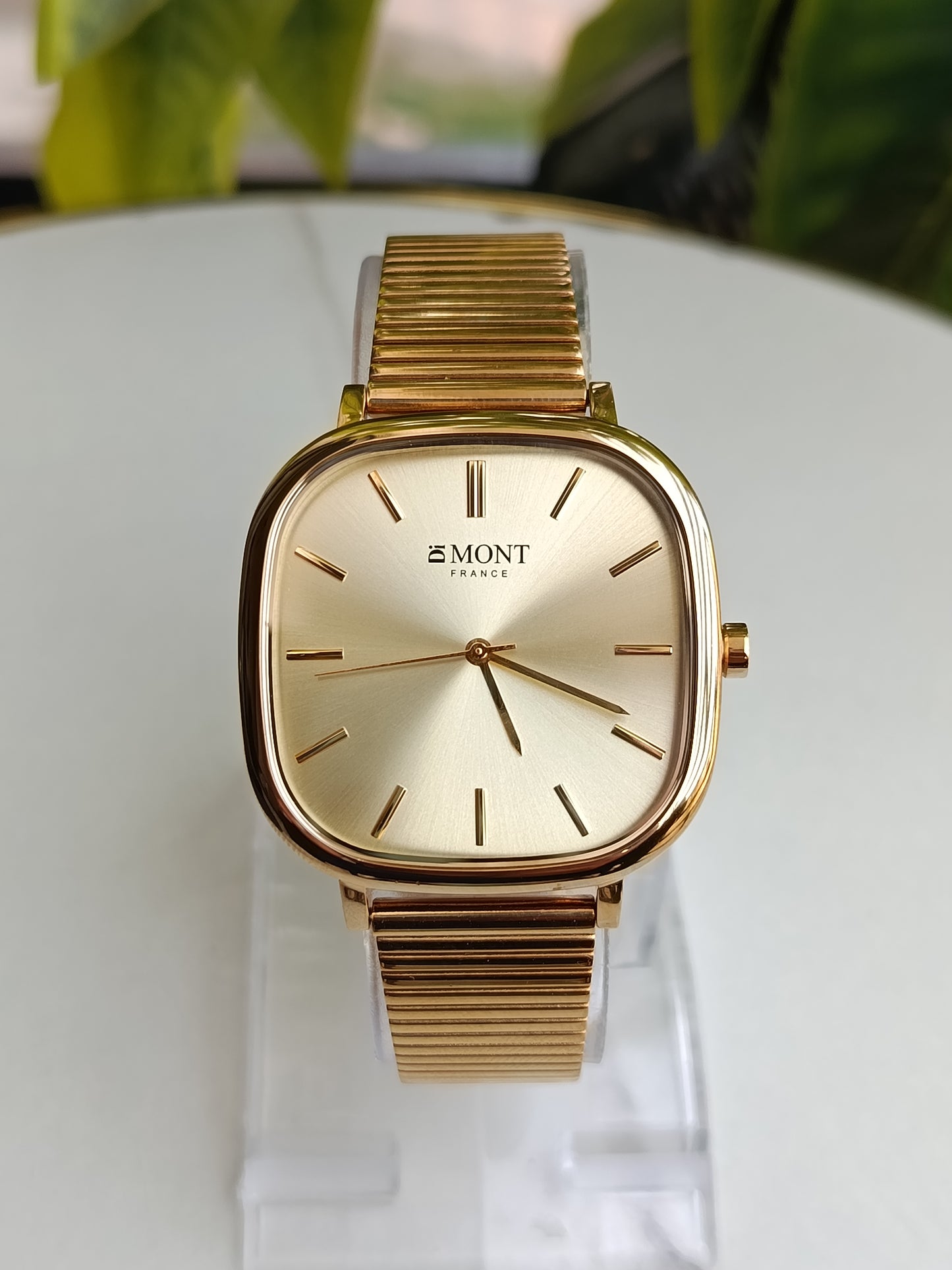 Di Mont France Gold Men's Elegant Watch