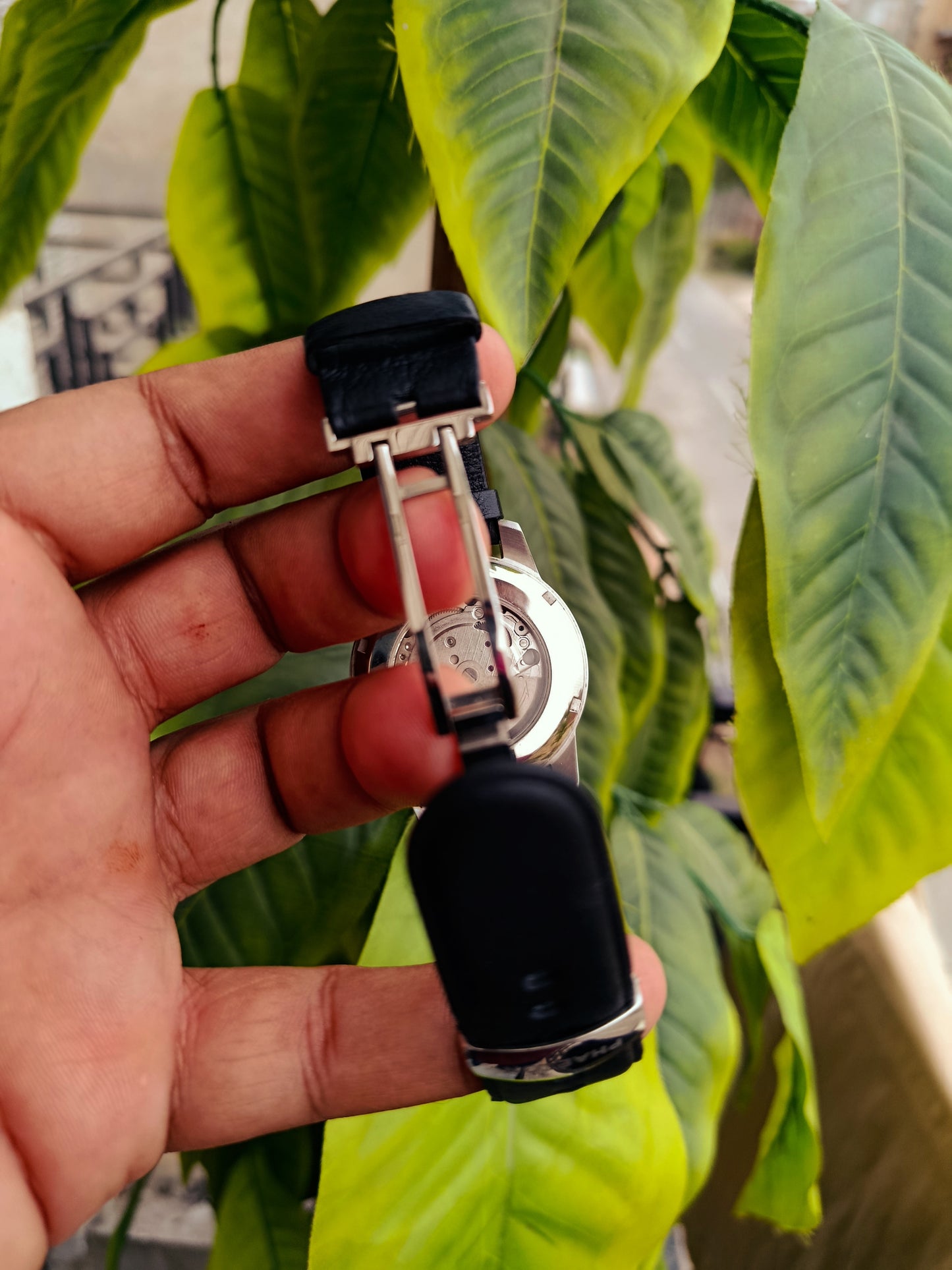 Phaeton Automatic Dress Men's Watch