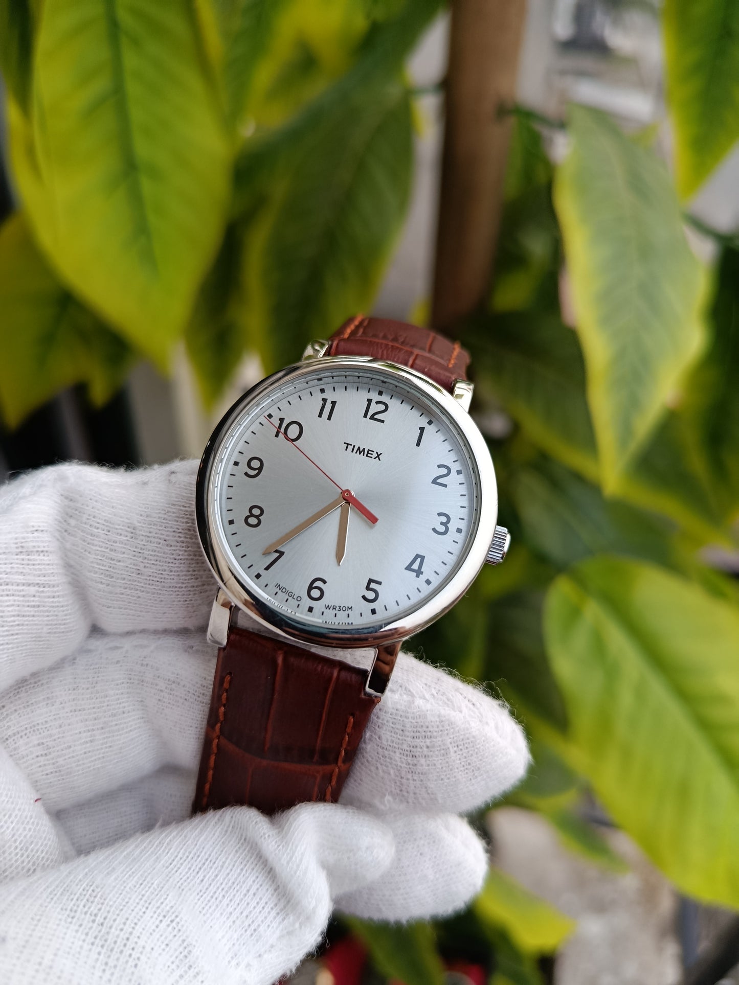 Timex Indiglo Wr100m Series Watch For Men