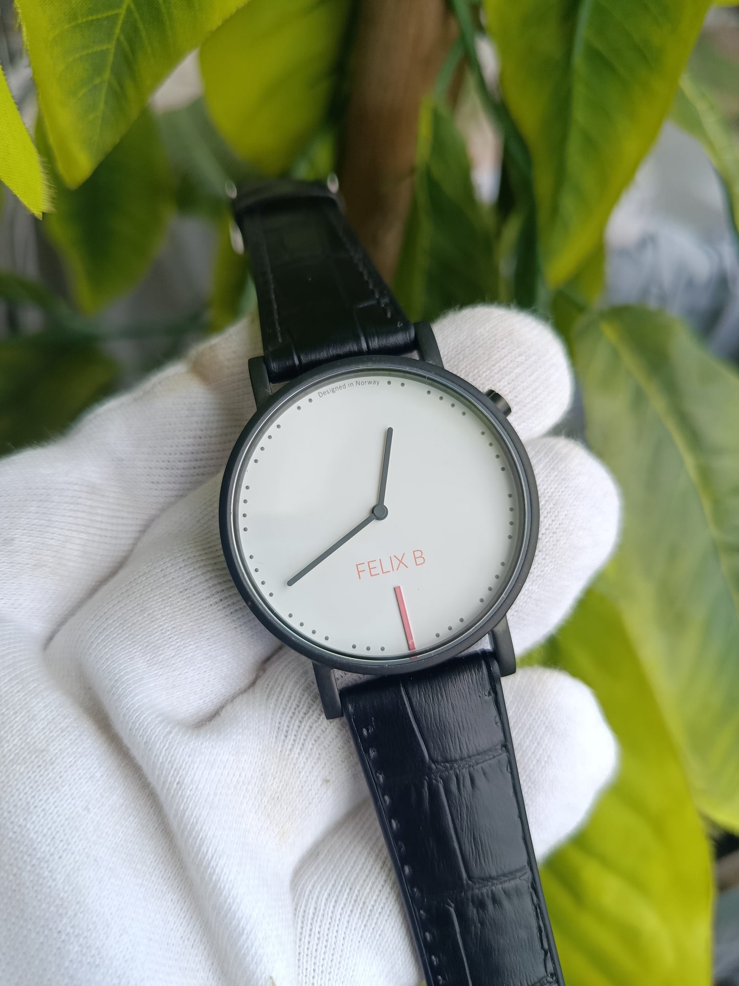 Flex B Norway Minimalist Watch