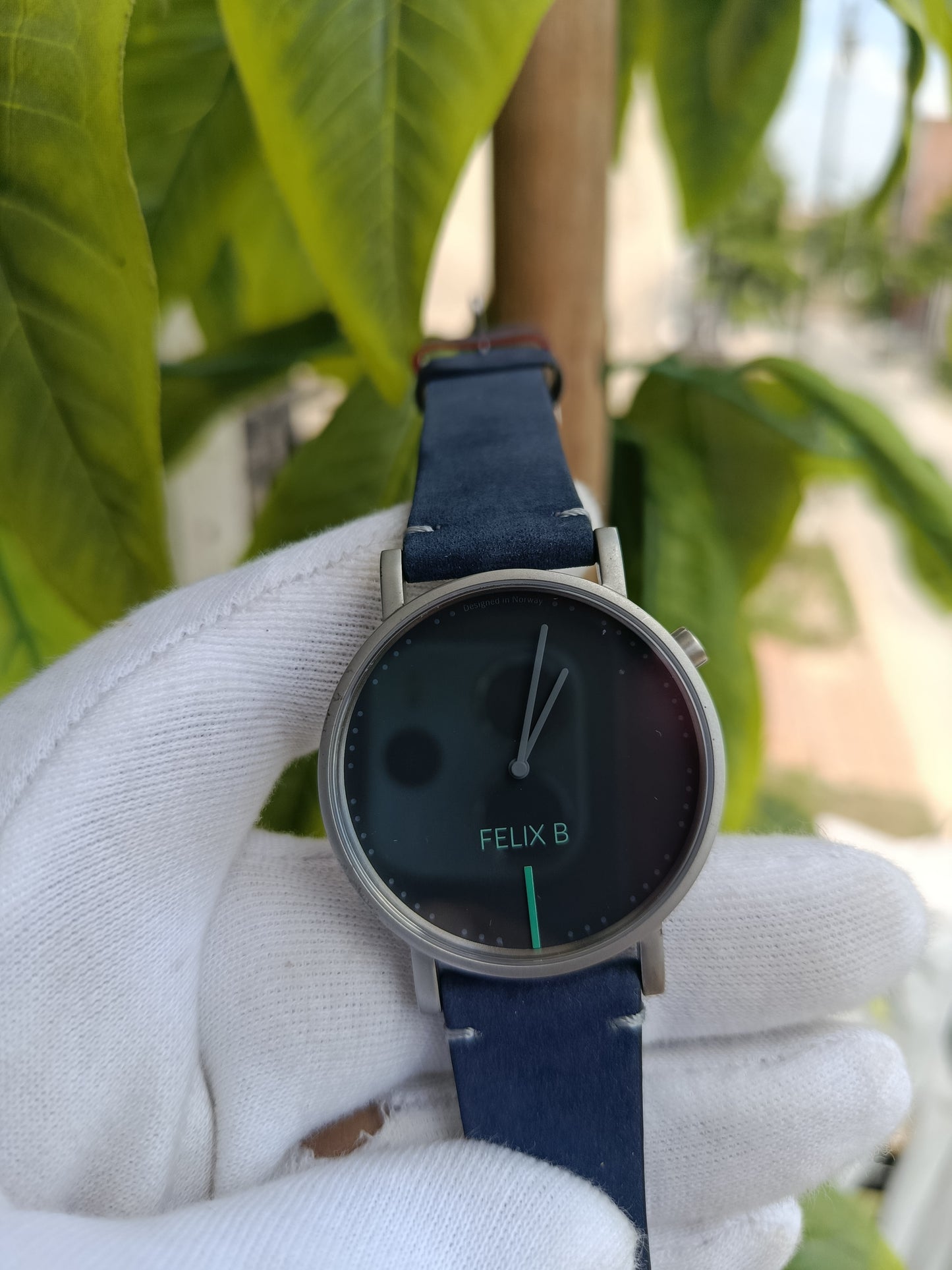 Flex B Designed For Norway Watch