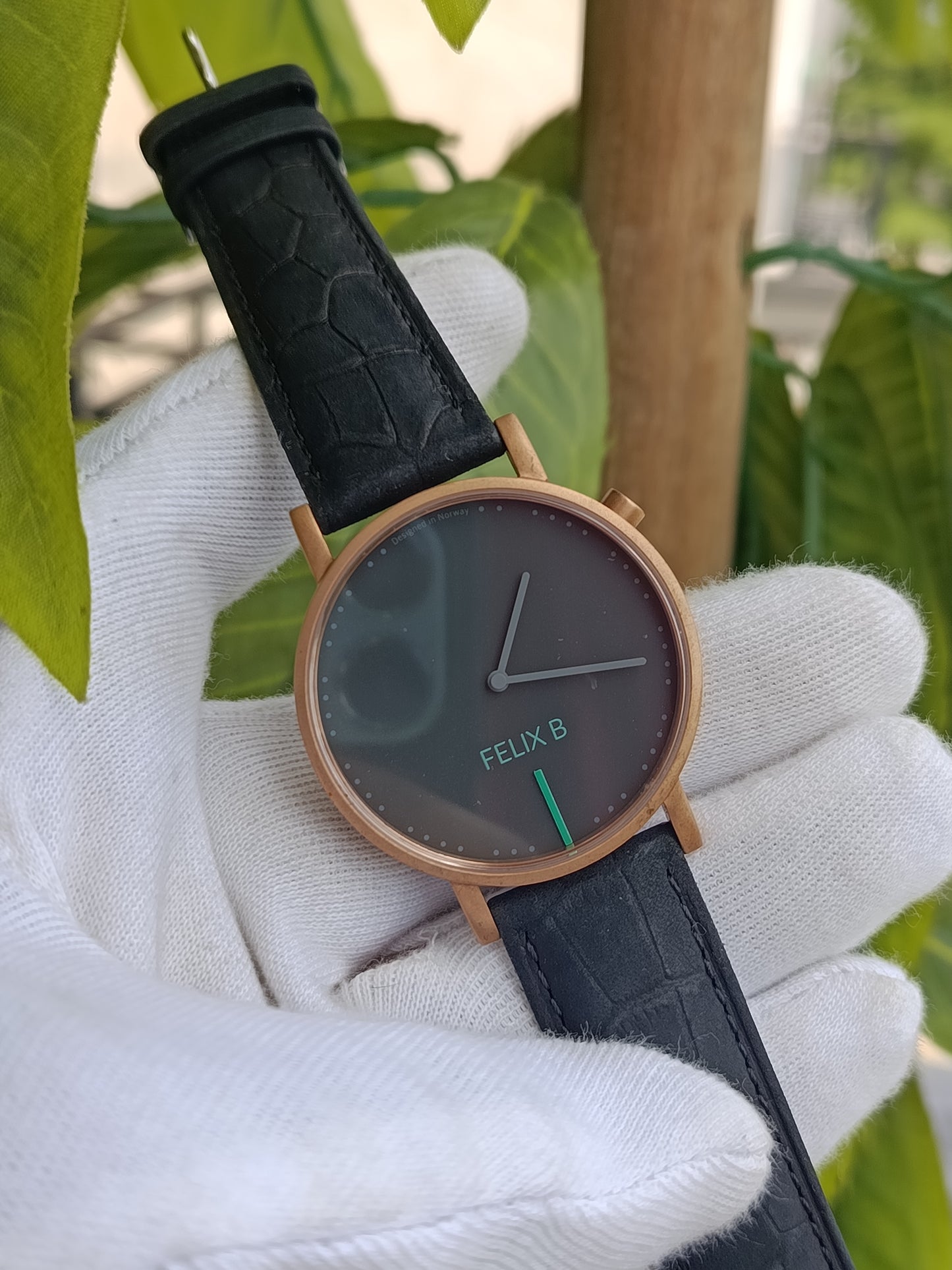 Flex B Serial No 1234567808 Men's Watch