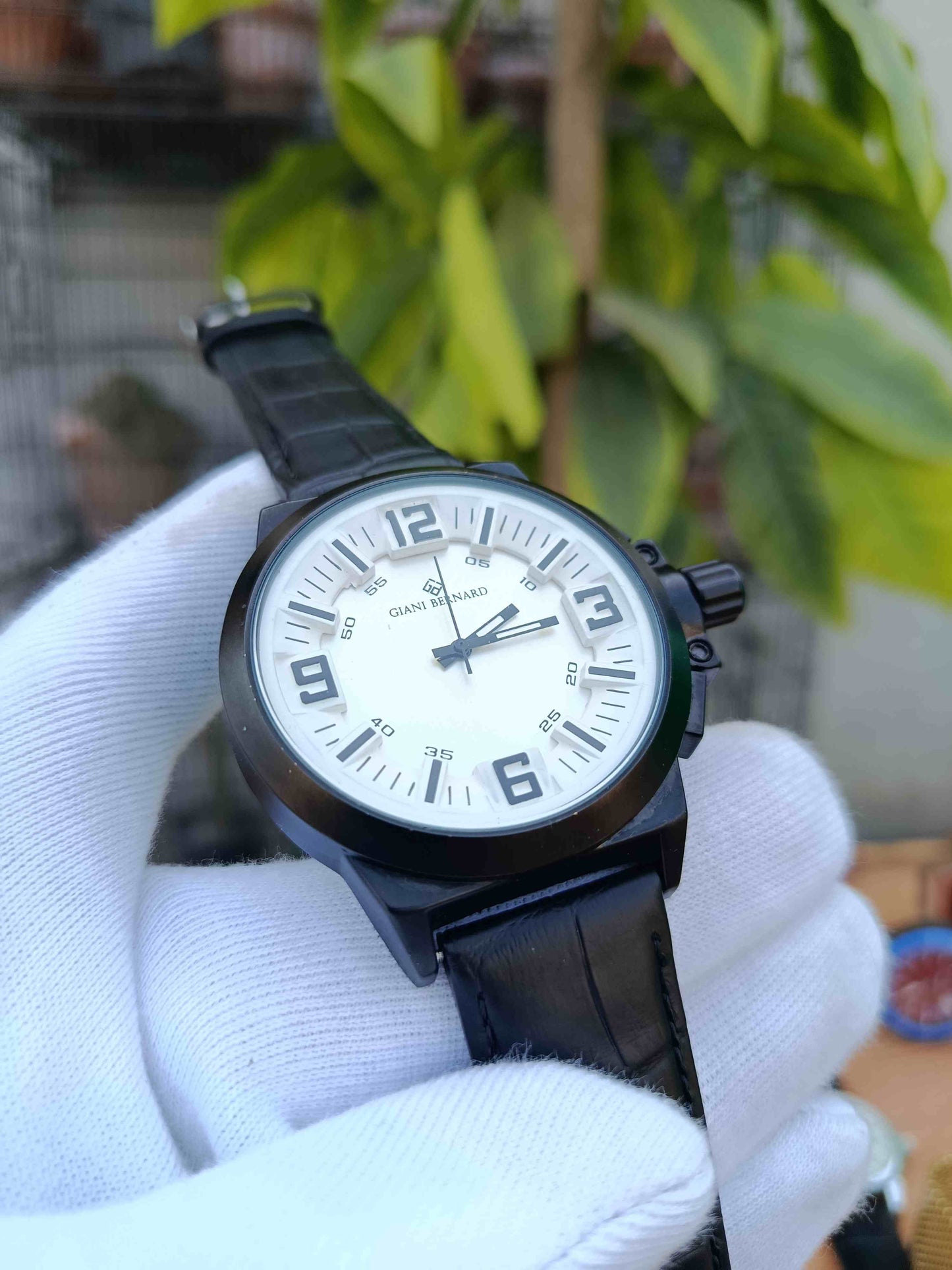 Giani Bernard HB-109C Men's Analog Watch
