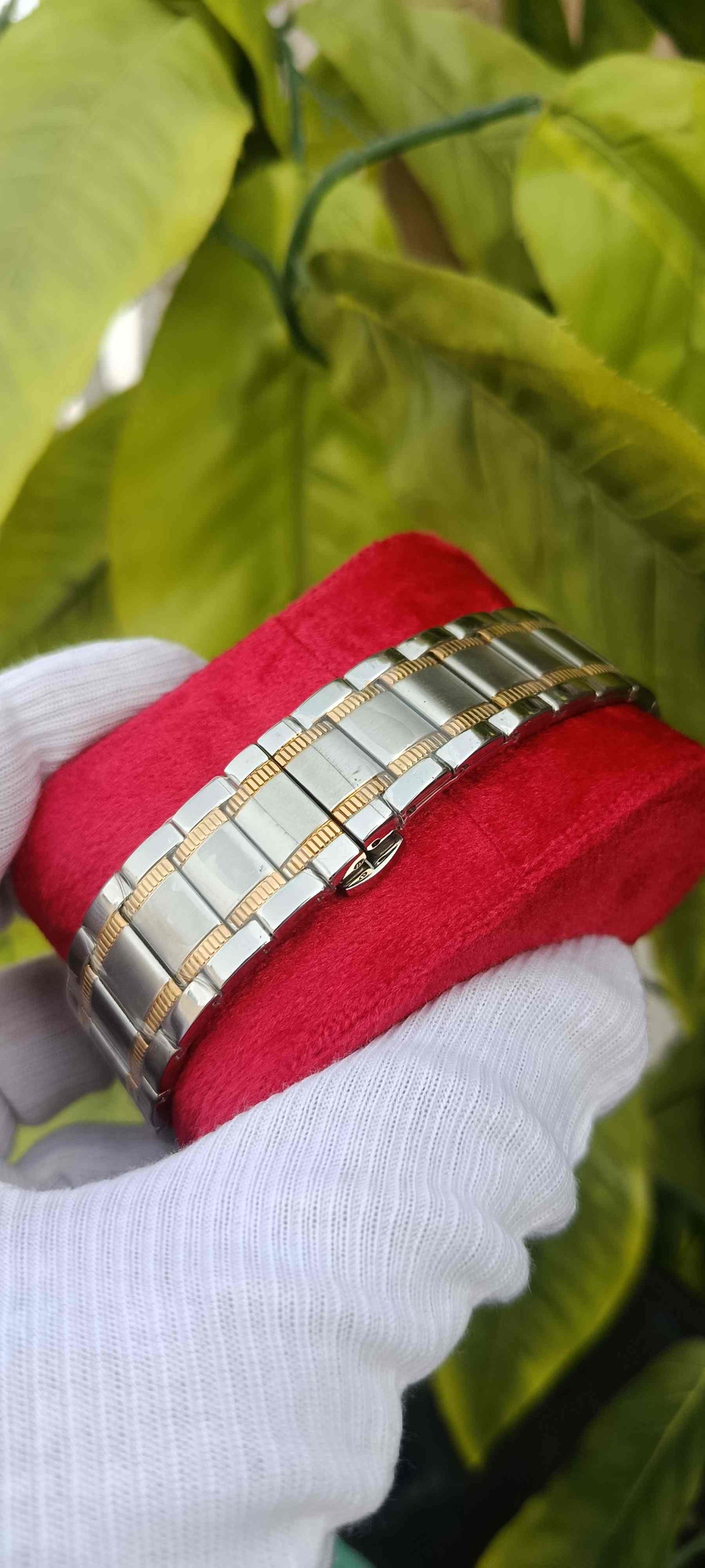 FITRON Two-Tone Champagne Dial Roman Numeral Sapphire Glass Watch