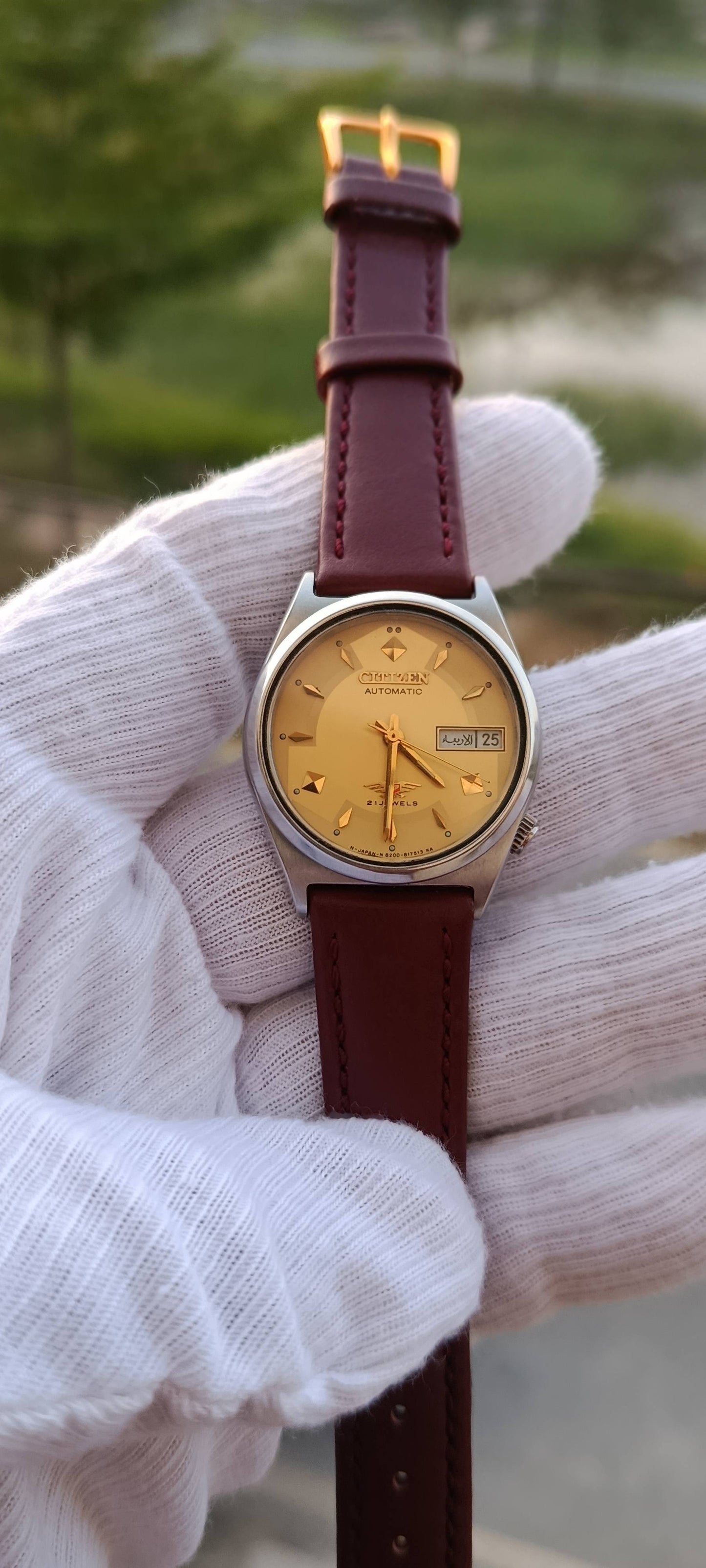 Citizen 8200 Automatic 32mm