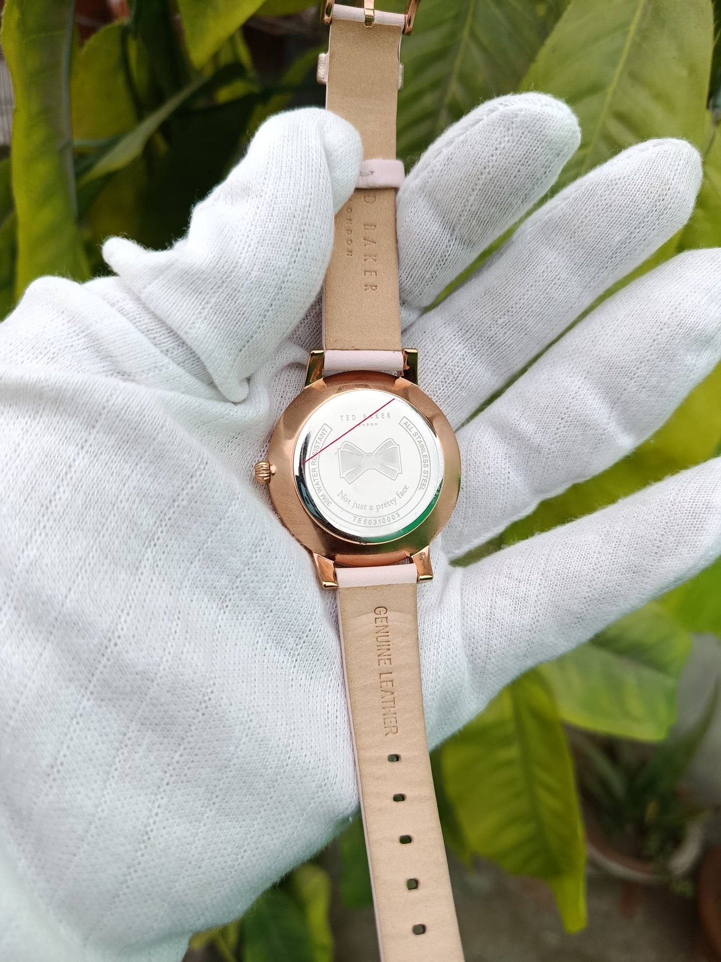 Ted Baker Olivia Women’s Watch (TE50310003)