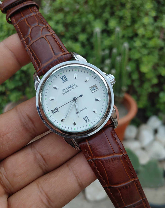 Tianshi Automatic Watch For Men