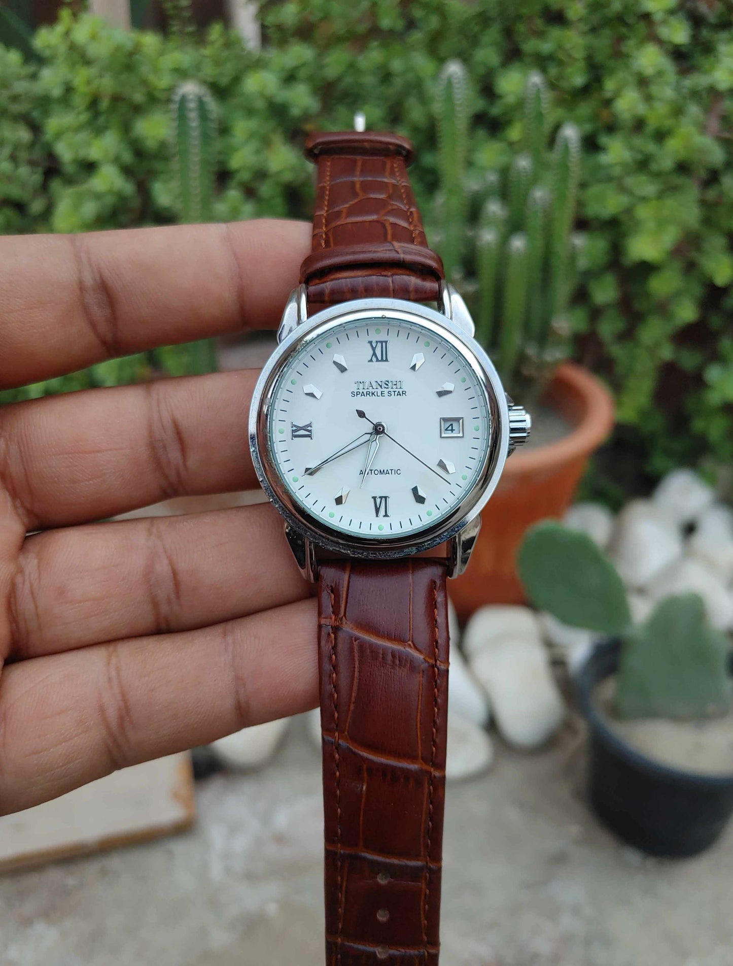 Tianshi Automatic Watch For Men