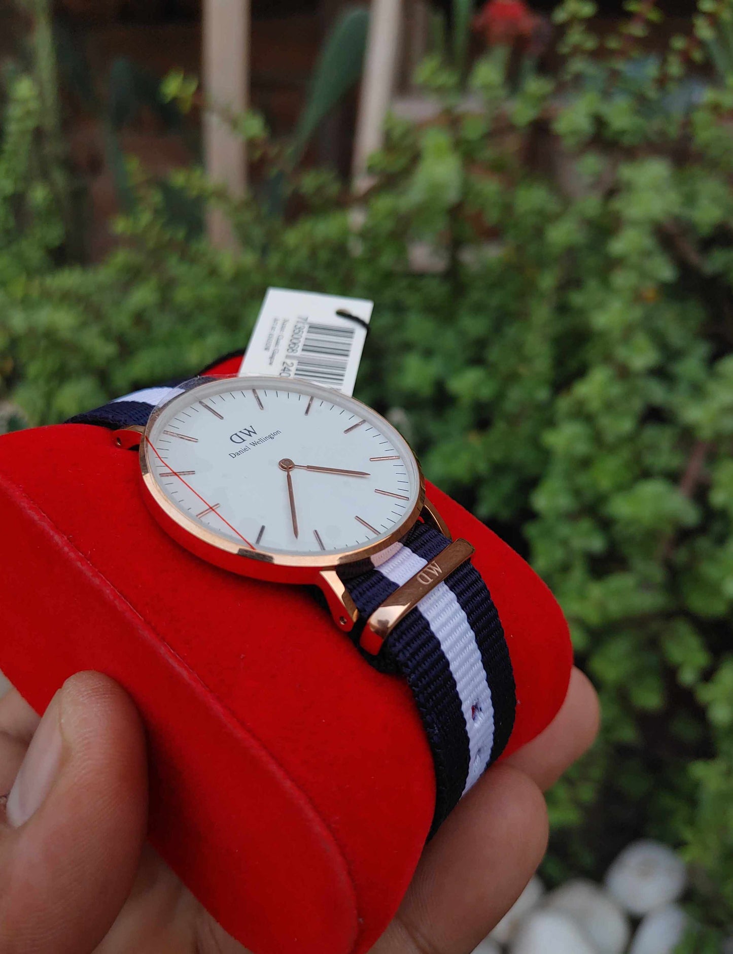 Daniel Wellington Nato Strap Elegant Wrist Watch for Men