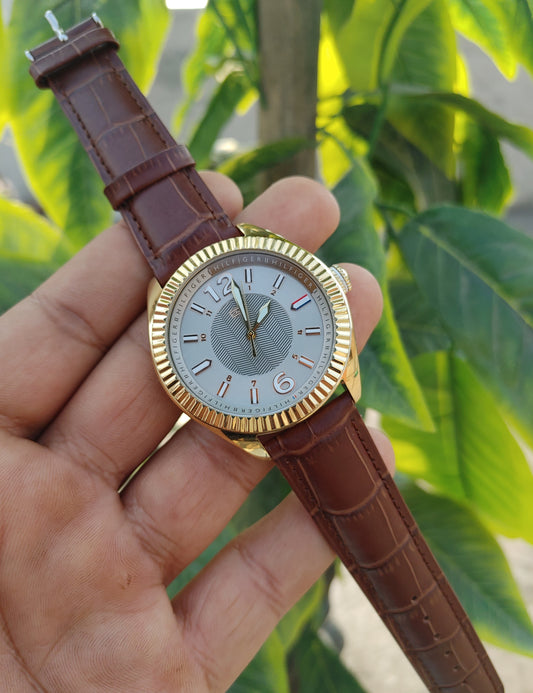 Tommy Hilfiger TH 234.3.34.1450 Watch For Men Full Golden