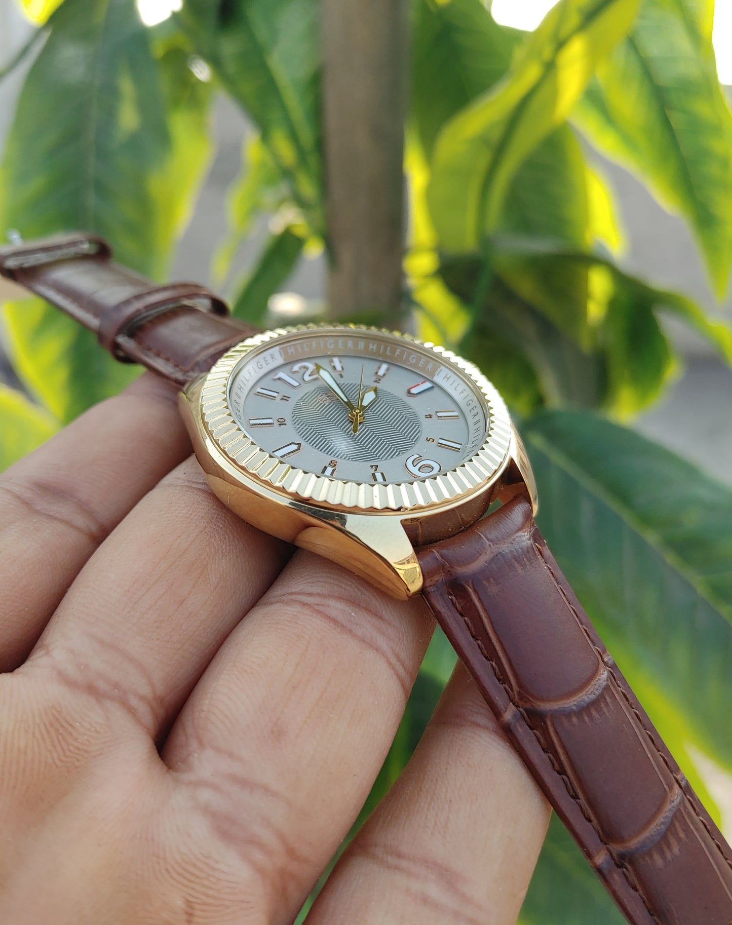 Tommy Hilfiger TH 234.3.34.1450 Watch For Men Full Golden