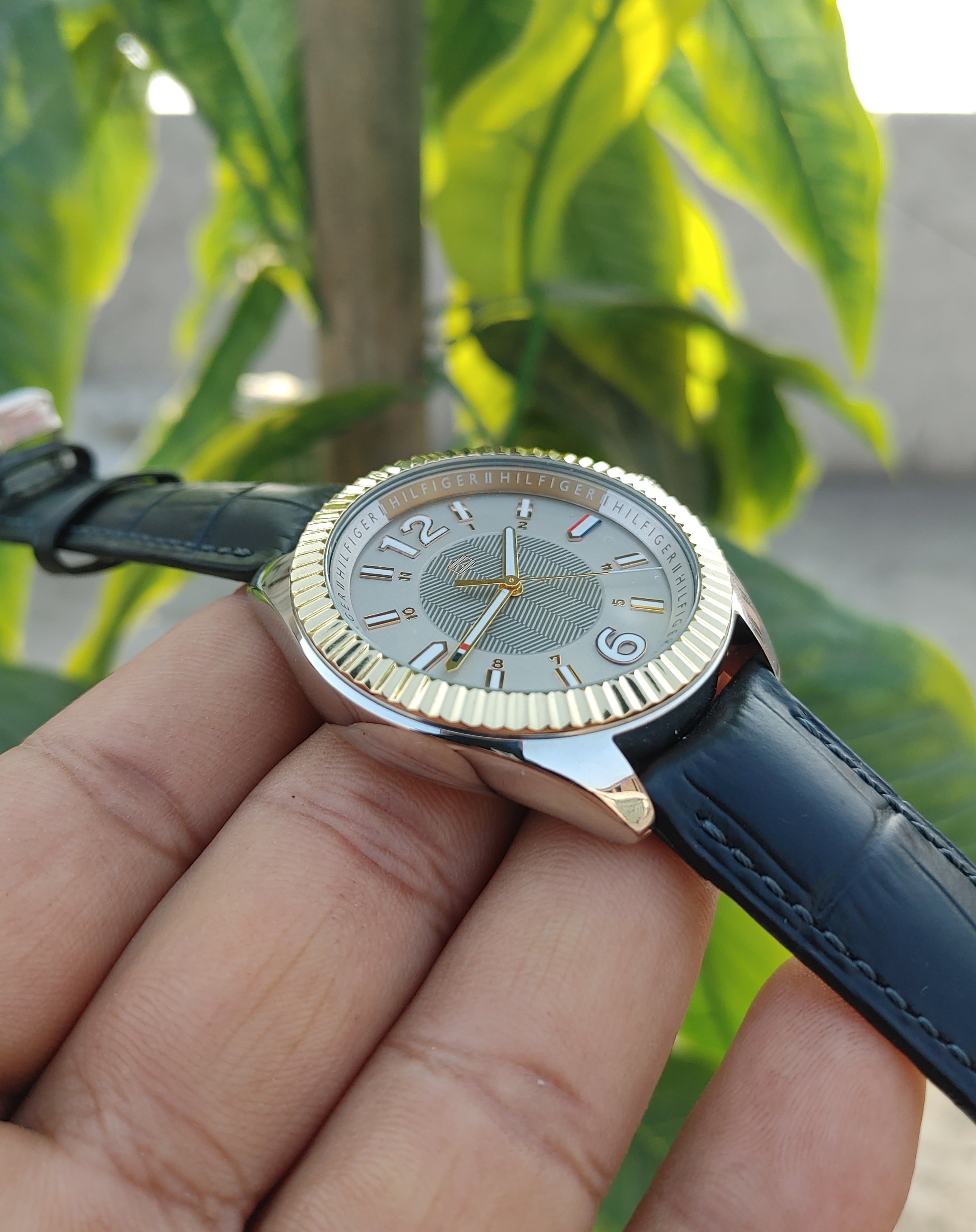Explore Our Watches Collection | ZWC & Co.