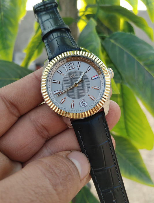 Tommy Hilfiger TH 217.3..20.1448 Watch For Men