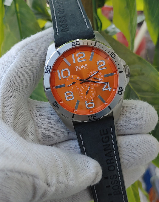 Hugo Boss HB.W05.1.14.2587 Watch