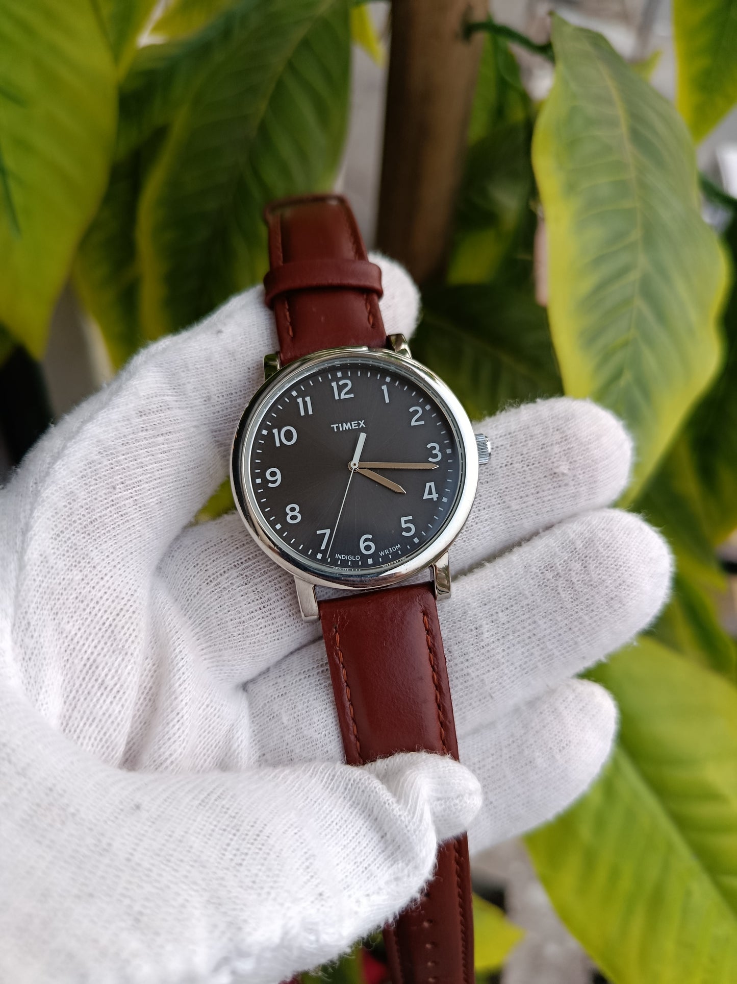 Timex Classic Wr30 Men's Leather Strap Watch