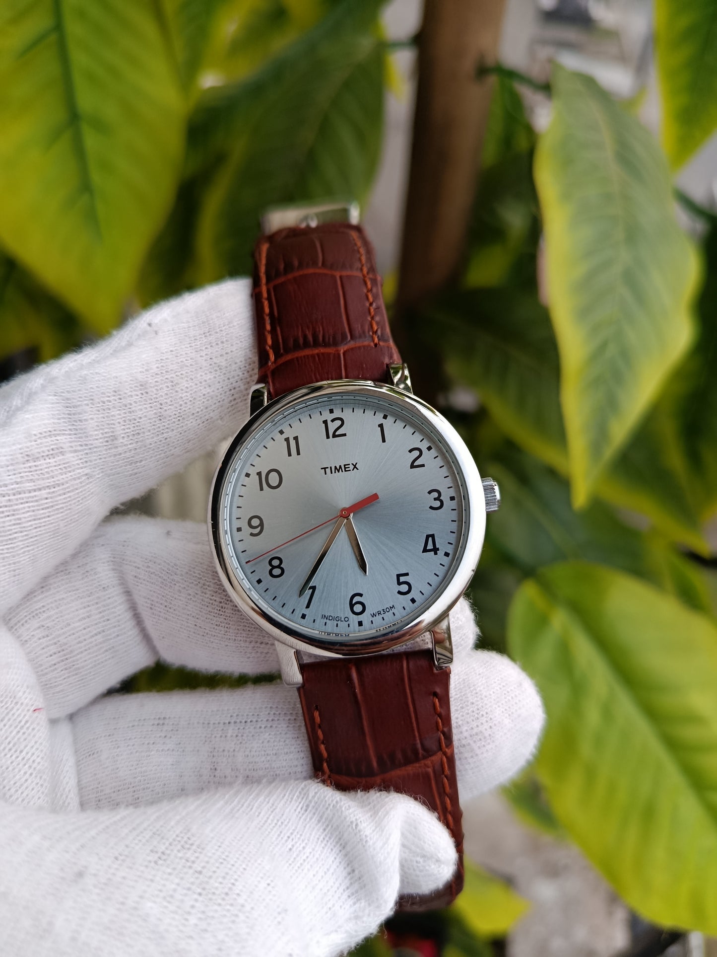 Timex Indiglo Wr100m Series Watch For Men