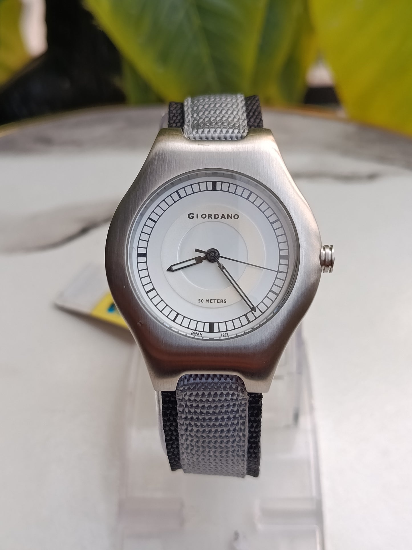 Giordano Classic Men's Watch