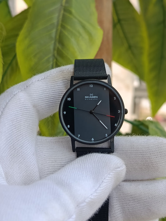 Skagen Slim Denmark 11LBB Watch