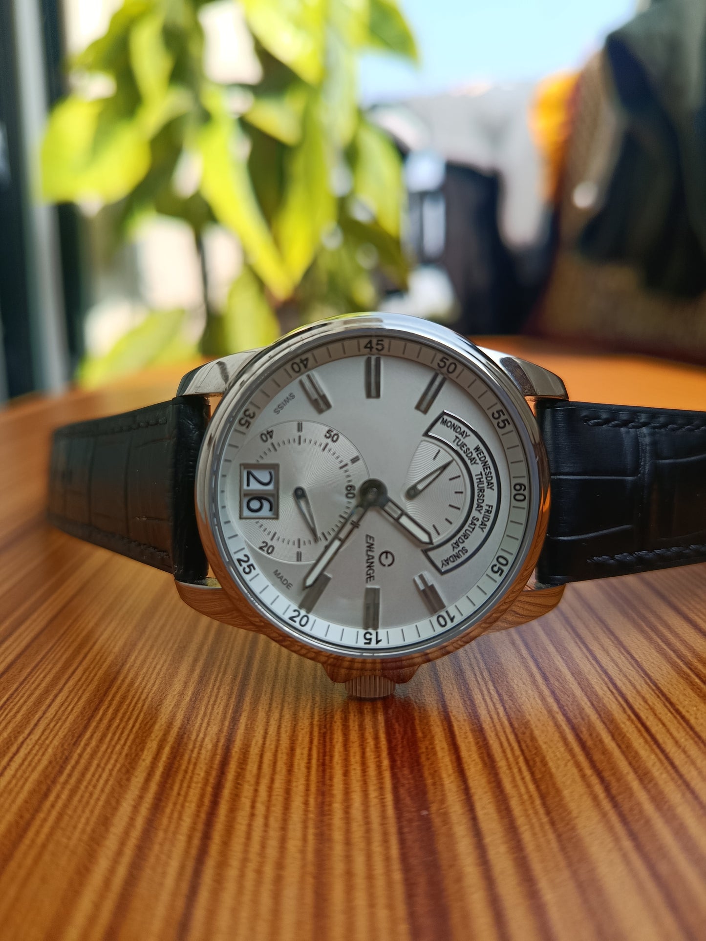 Enlange Swiss Quartz Windows Date Men's Watch