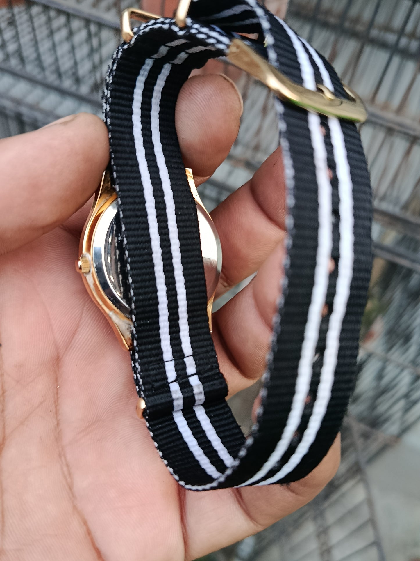 Vintage Two Shark's Watch