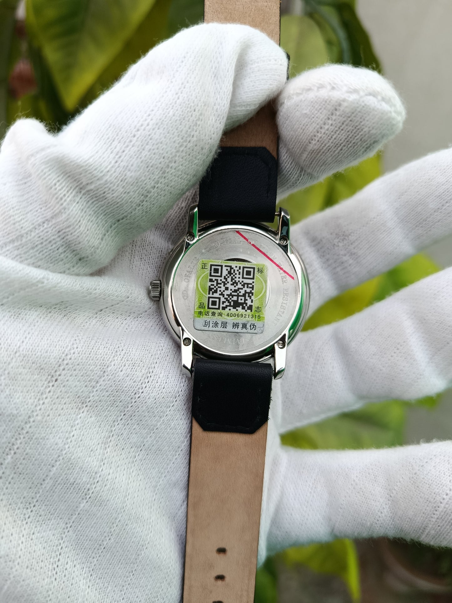 Oyalie Women's Calendar Watch