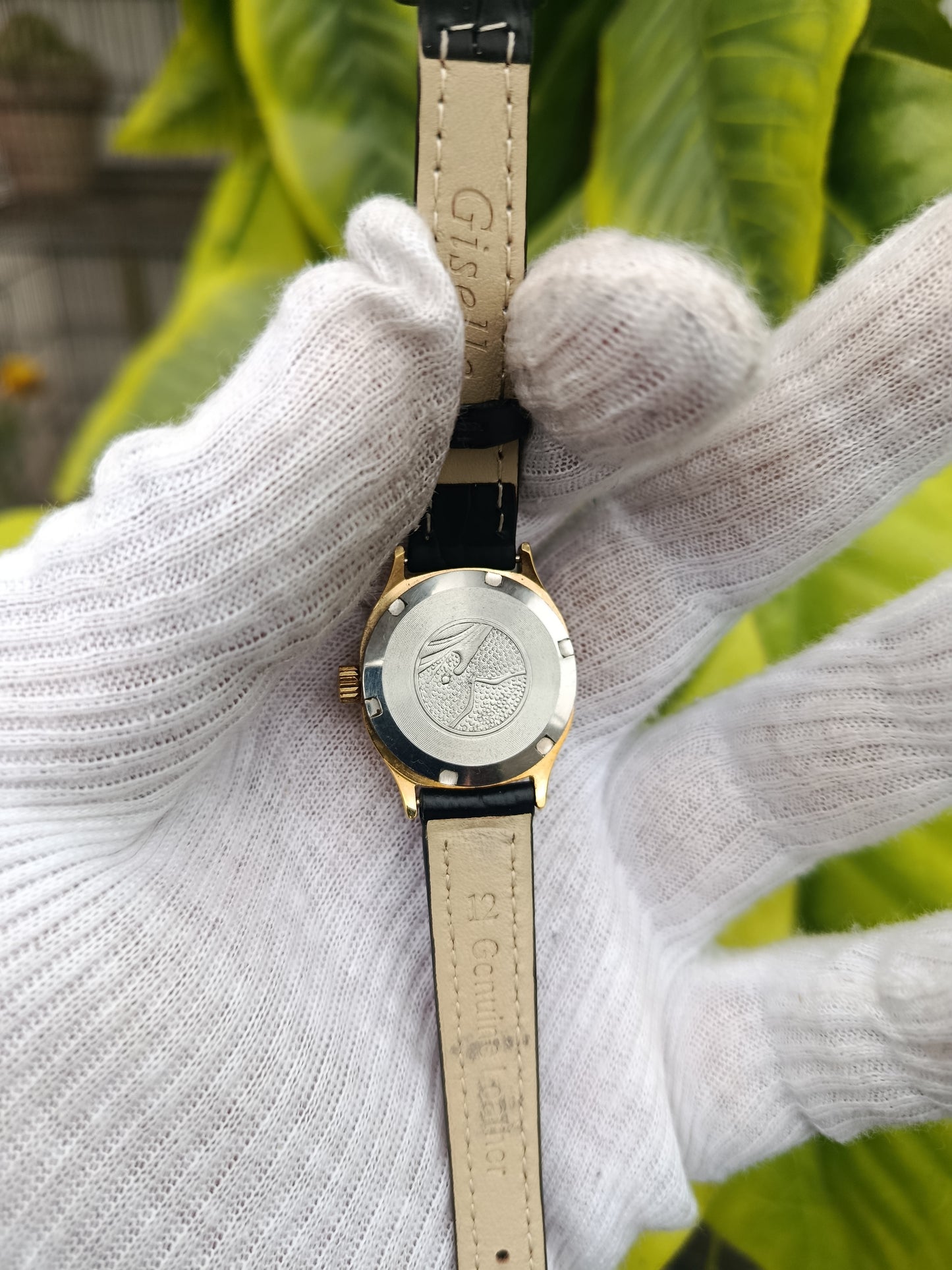 Seagull Hand winding Women's Watch Automatic