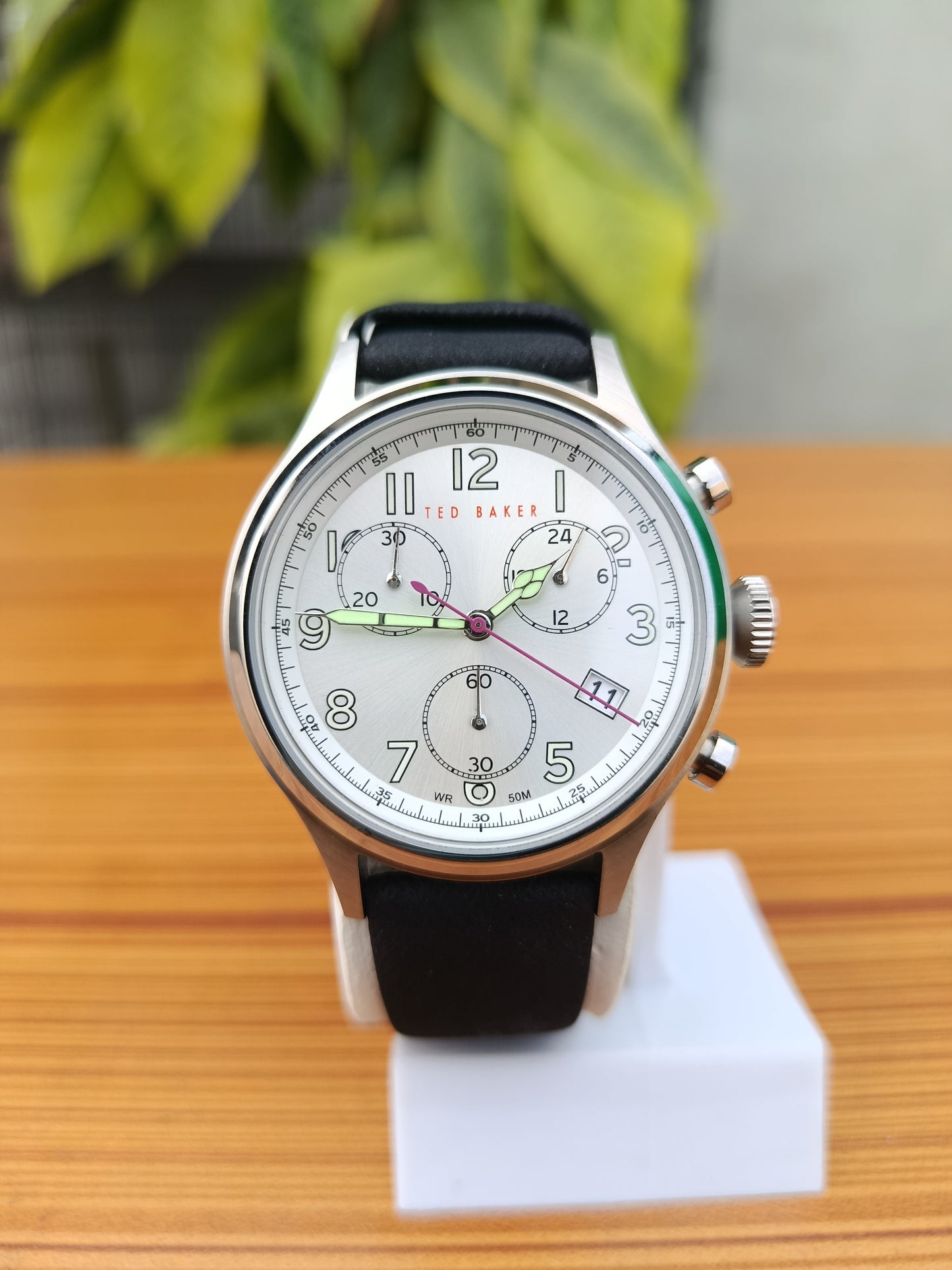 Ted Baker Lngisla Men’s Watch