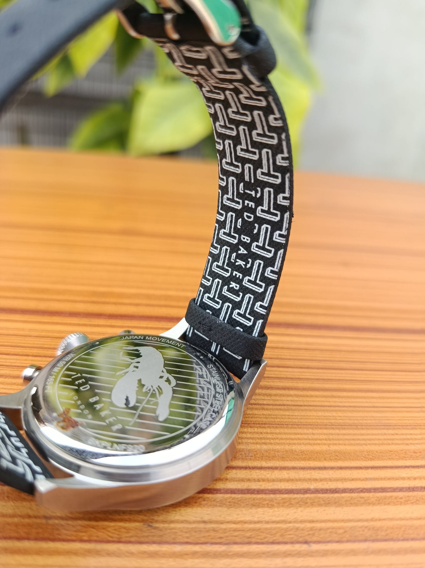 Ted Baker Lngisla Men’s Watch