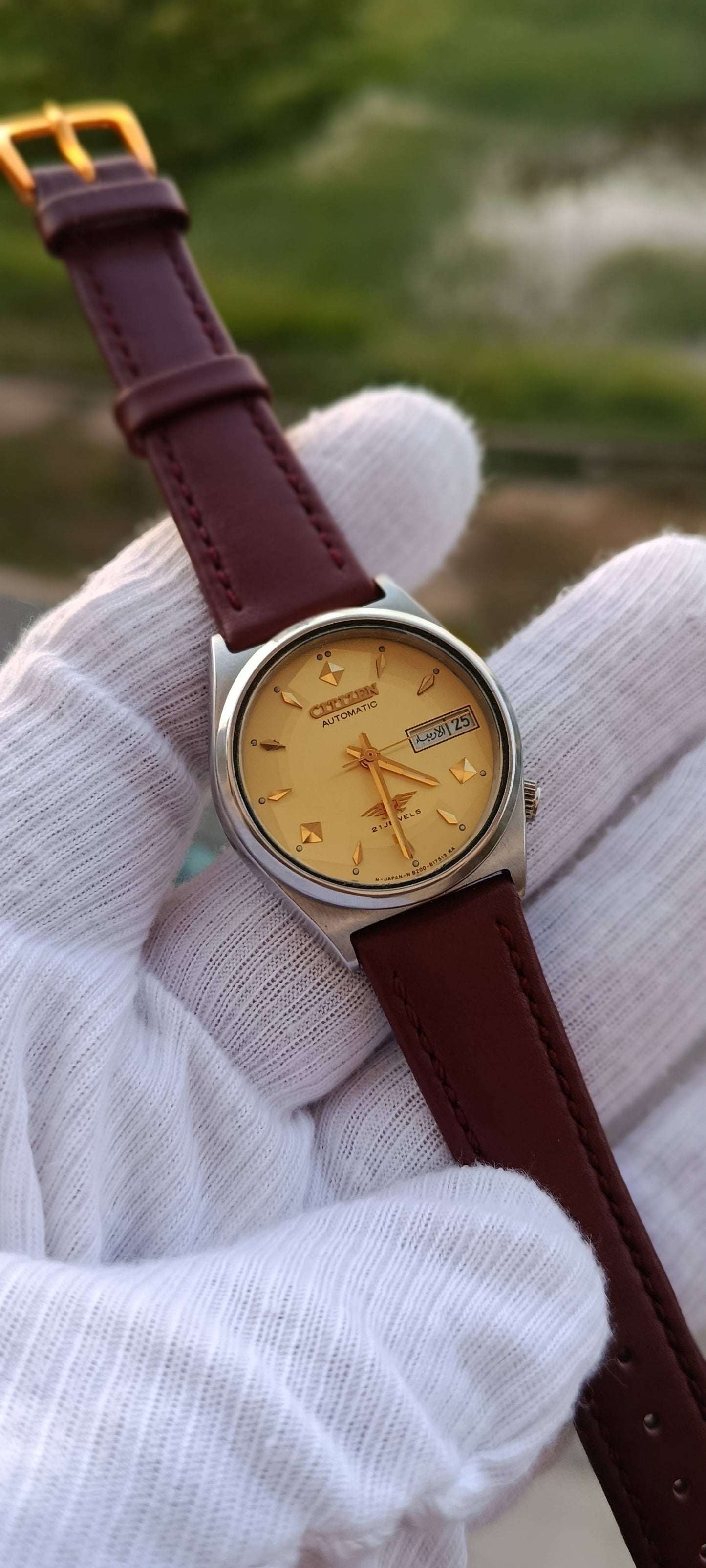 Citizen 8200 Automatic 32mm