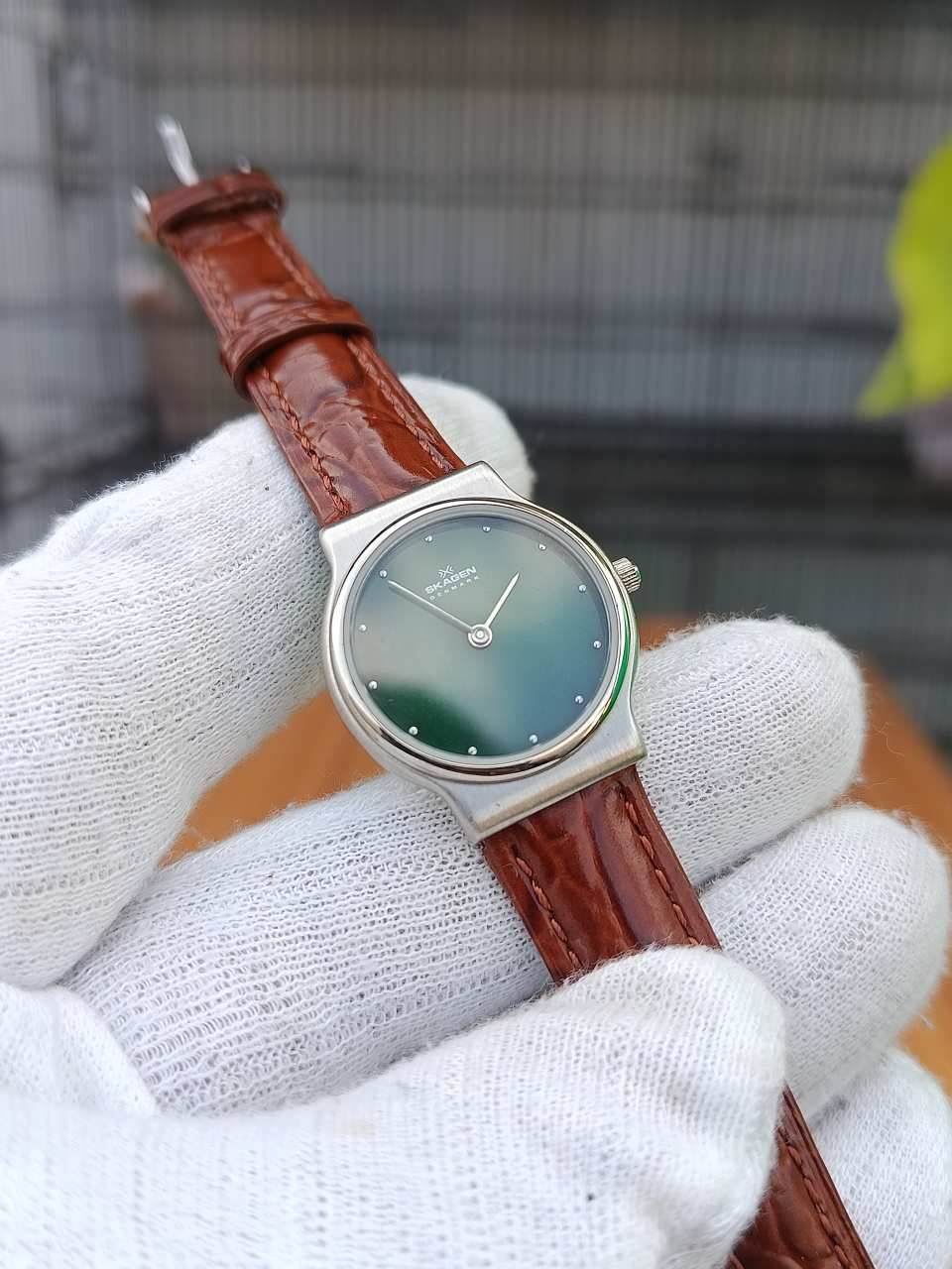 Skagen Gitte Women’s Watch Green Dial with Brown Leather Strap